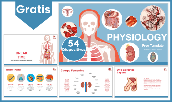 plantilla powerpoint de fisiología para descargar.